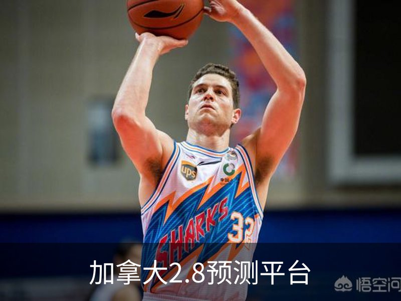 关于加拿大2.8预测平台